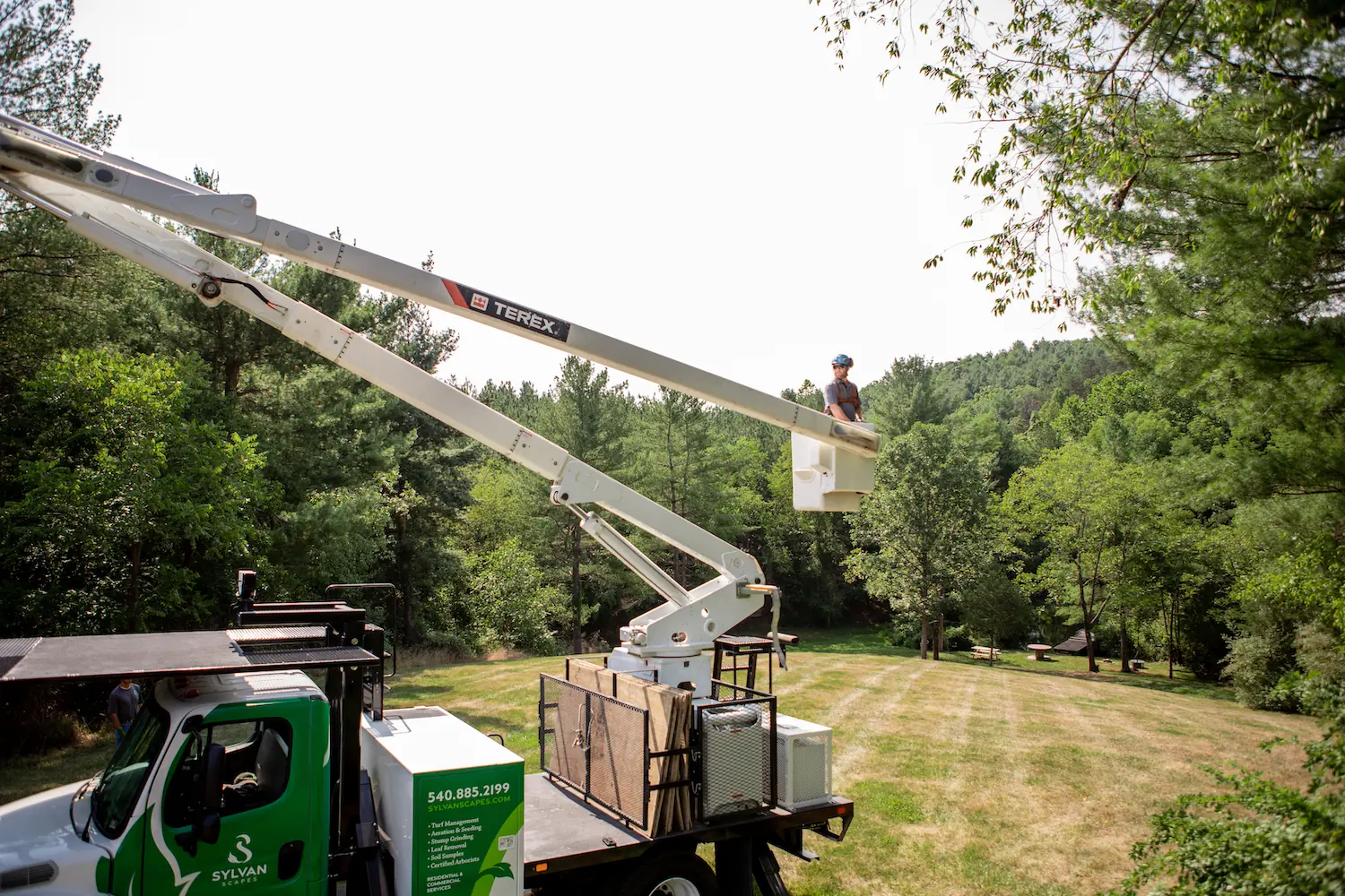 A Sylvan Scapes bucket truck with its lift raised into the treeline on a Shenandoah Valley property