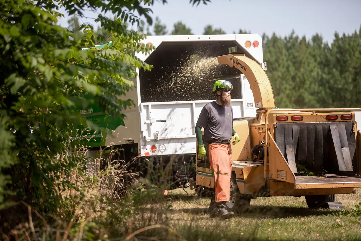 Brush being chipped into the chip truck at the end of a Sylvan Scapes job